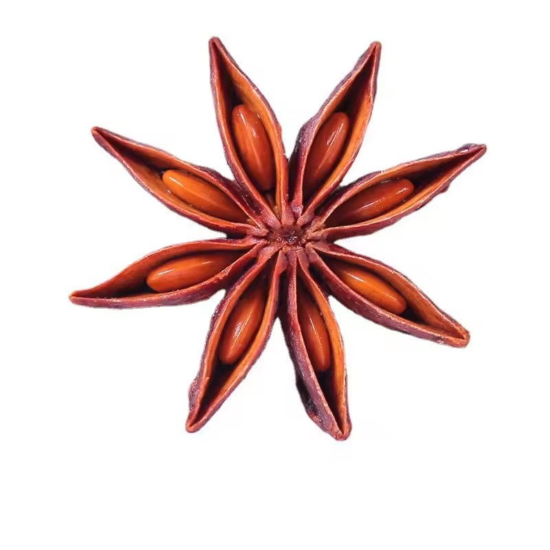 High Quality Natural Dried Sta - Candle Glass Supplies recension och pris